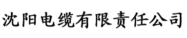 国产乱人伦精品一区二区在线观看电缆厂logo